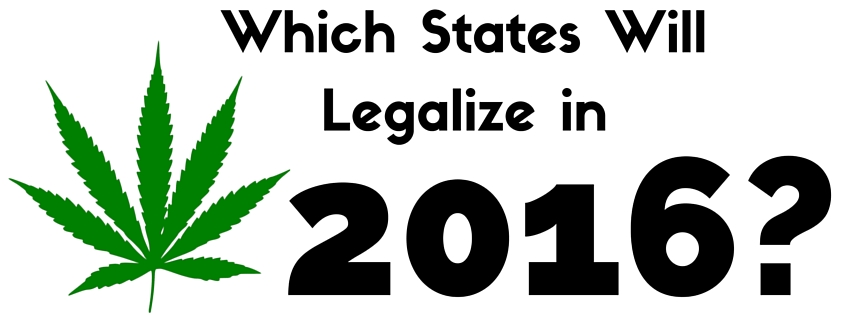 Which States Will Legalize in 2016-