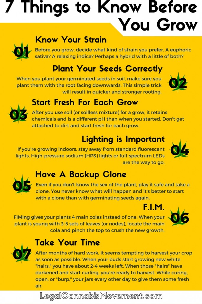 7 Things Before You Grow (1)