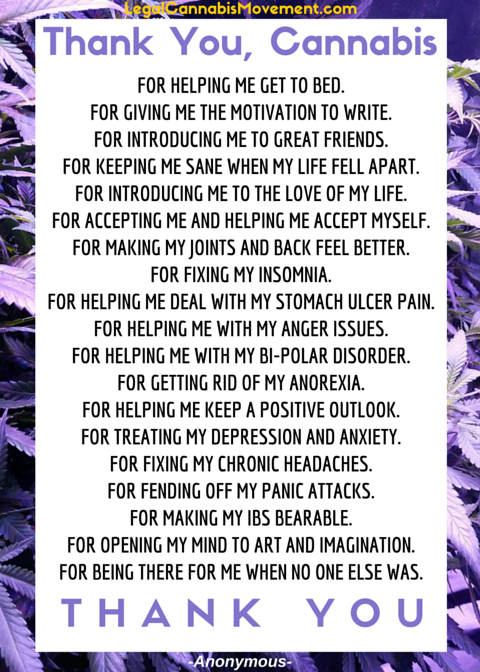 Thank You Cannabis (1)