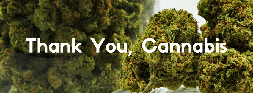 Thank You, Cannabis