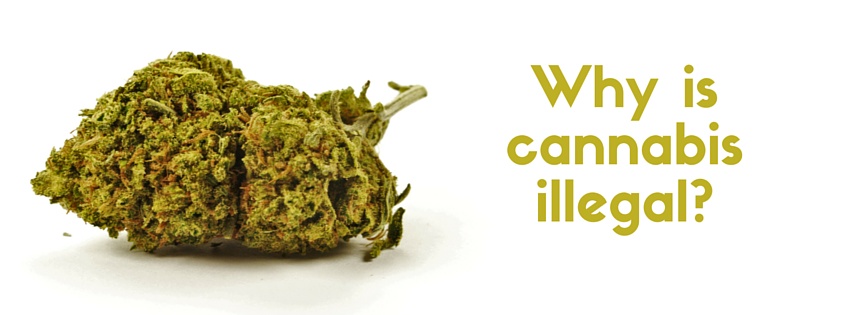 Why is cannabis illegal-